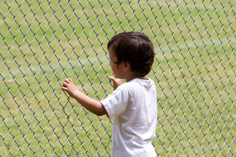 At the fence, child watching