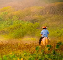 Costa Rica Photography