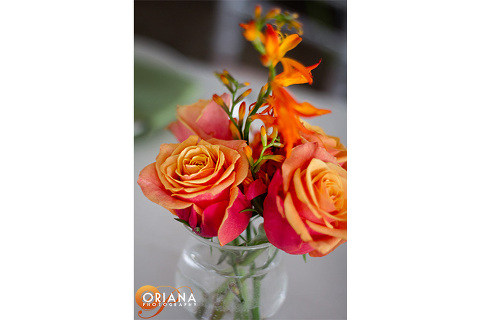 Teirra-Magnifica-Wedding-Photography