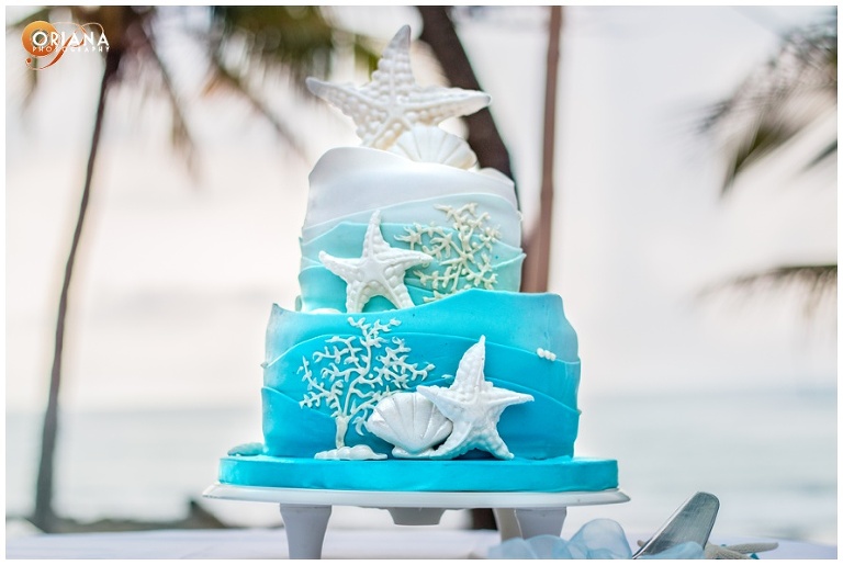 Wedding Cake nosara costa rica