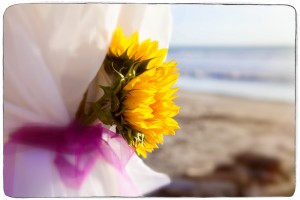 Weddings-Nosara-arbor-photography