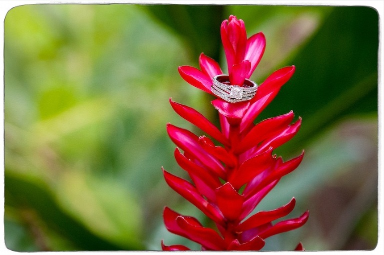 Wedding-Photographer-Nosara-Costa-Rica-Elopement-PhotographerDec2014-106-s