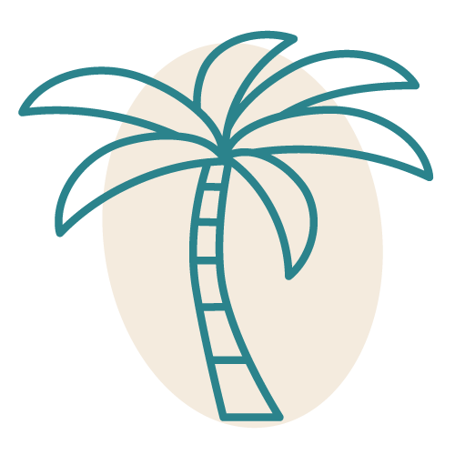 Charleston Photographer